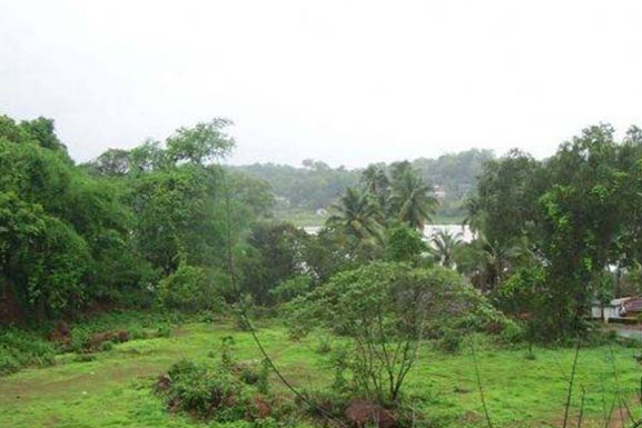 Buy Land in Goa for sale 4