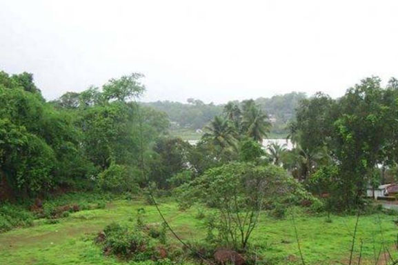 Buy land in Goa for Sale 2